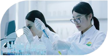 作物免疫基因編輯與分子育種創(chuàng)制實(shí)驗室心