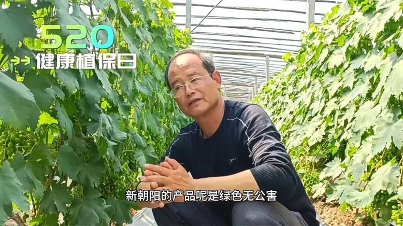 520健康植保日——擁抱綠色農(nóng)業(yè)，我們在行動